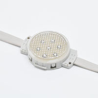 Venta caliente 2025 Led Ondoor Decoración Led Punto Fuente de luz Calle Jardín Colorido Edificio Decoración Cadena de luces