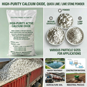Ossido di Calcio Industriale in Polvere, Alta Purezza 99.6%, per Utilizzo con Scaglie di Plastica HDPE, LDPE o <span class=keywords><strong>PE</strong></span> - Product Image 5