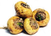 Vente de compléments alimentaires à base de plantes pour hommes, en poudre, à base d'extraits de racines et d'huîtres, conditionnés sous vide, complément alimentaire.