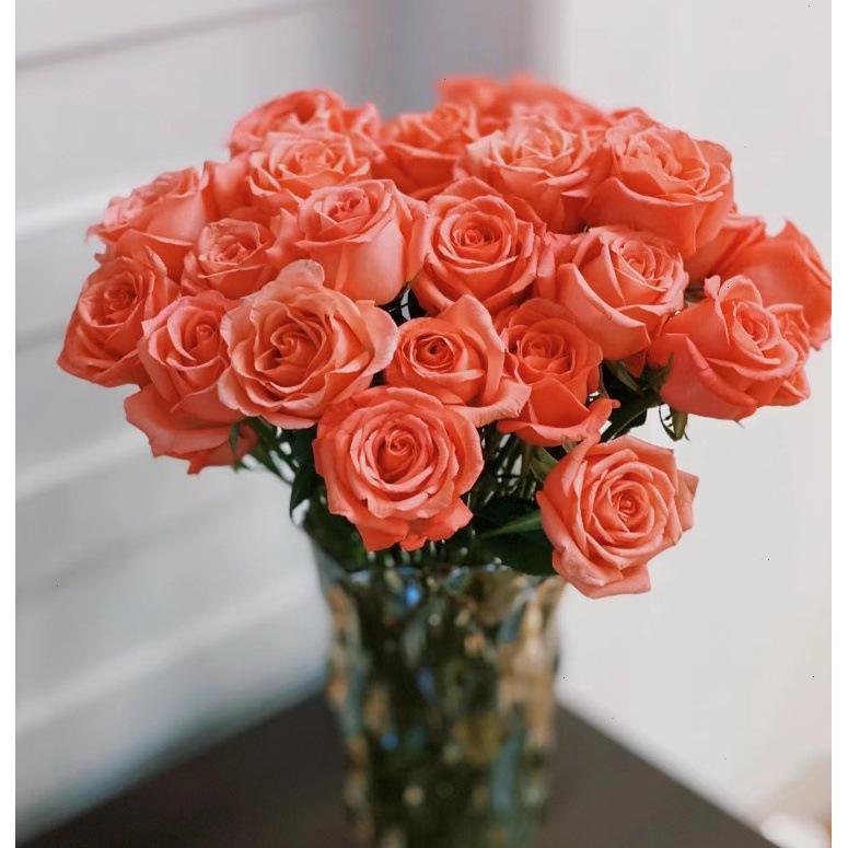 Estrellas de cine (20/TIE)