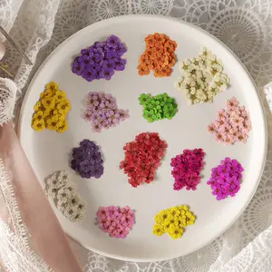 Wholesale Colorful Real Natural Dried Flowers Nails Art Sticker Nail Decoration