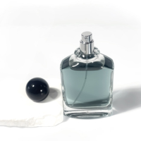 Vente en gros de flacons pulvérisateurs en verre pour huiles essentielles, design unique, forme originale, 100 ml, transparents, emballage de parfum de luxe
