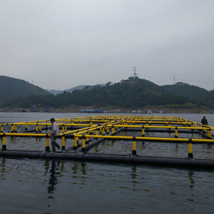HDPE Square <b>Floating</b> <b>Fish</b> Cage Offshore Aquaculture Net Cage for Marine <b>Fish</b> Breeding - Product Image 3