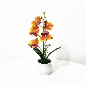 Orchidée Phalaenopsis Paulon en pot, 29 cm de haut, fleur artificielle, décoration de bureau - Product Image 5