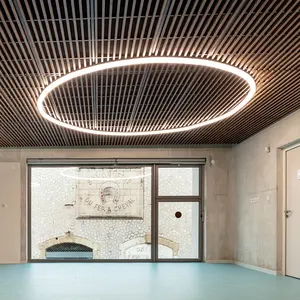 Perfil de alumínio simples led luzes de teto círculo anéis de teto acrílico moderno luzes de led para escritório