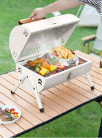 Mini gril à charbon de fer pliant portable pour l'extérieur pour les pique-niques Garden Parties Camping Trips