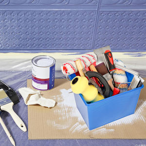 <span class=keywords><strong>MSN</strong></span> PB 010 10L & 16L塑料漆桶耐用聚丙烯辊，用于专业绘画 - Product Image 2