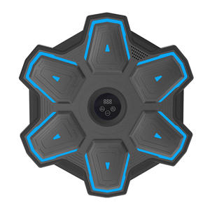 Bluetooth Music Target Boxe Trainer Home Fitness Wall Machine pour adultes et enfants Équipement d'entraînement professionnel - Product Image 1