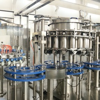 Machine de remplissage à chaud automatique de bouteilles PET 4000 BPH pour usine de jus industrielle / Ligne de production complète pour jus aromatisés