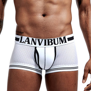 Boxer da Uomo Classici alla Moda con Contrasto di Colore, Sexy Boxer in Rete, Slip Sportivi, Mutande in Rete, Slip da Uomo - Product Image 1