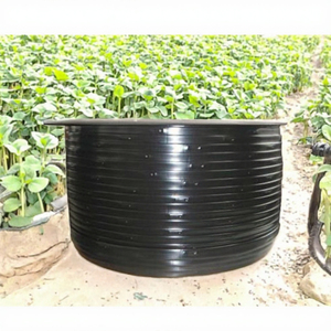 โรงงานผลิตท่อ PE แบบยืดหยุ่น PALCONN ขนาด 16 มม. สำหรับระบบน้ำหยดในฟาร์ม - Product Image 3
