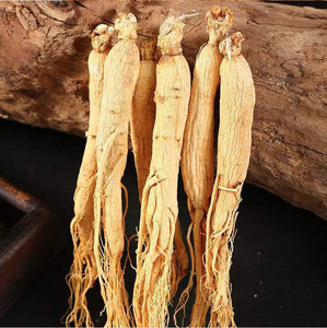 Raíz de <span class=keywords><strong>ginseng</strong></span> Qingchun <span class=keywords><strong>Ginseng</strong></span> seco <span class=keywords><strong>Ginseng</strong></span> fresco a buen precio - Product Image 6