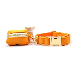 Prodotti di tendenza tik <span class=keywords><strong>tok</strong></span> fibbia in oro 2025 guinzaglio arancione porta cacca per cani dispenser in velluto personalizzato collare per cani da addestramento - Product Image 4