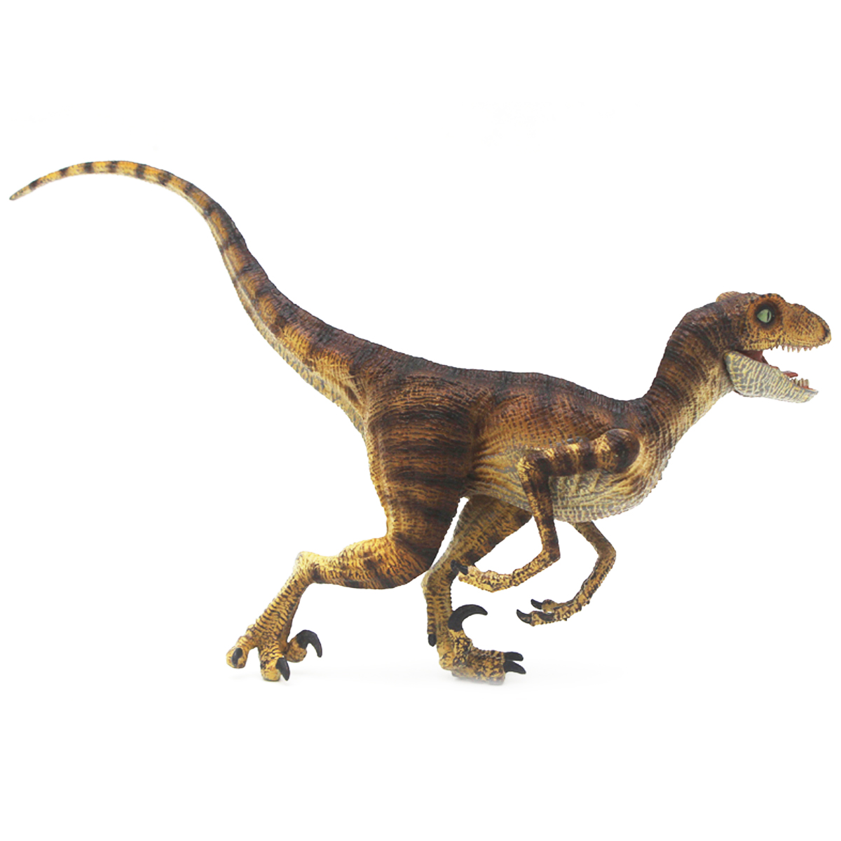 Velociraptor marrón