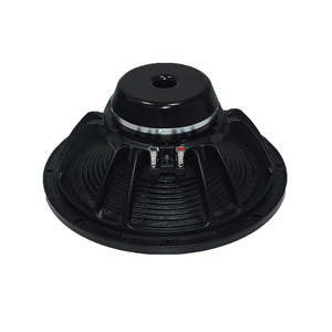 Altavoz de neodimio de 12 pulgadas de rango completo para presentaciones en vivo en escenarios al aire libre, estéreo de 2.0 canales - Product Image 3