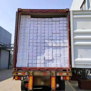 ENWEI Beifuß-Kräuter-Lendenwirbelsäulen-Schmerzpflaster zur Körperanwendung CE-Zertifiziert 3 Jahre Haltbarkeit Sicher ohne Nebenwirkungen - Product Image 6