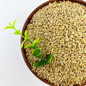 Canario Seeds-semillas canario, polvo de semillas para Diabetes/alimentación Animal a granel - Product Image 4