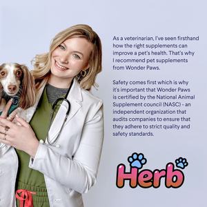 Suplemento de Gotas de Cardo Mariano 100% Natural y Orgánico para Perros, Marca Privada OEM/ODM, para Desintoxicación Hepática y Apoyo Inmunológico - Product Image 4