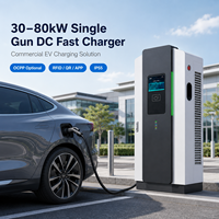 Chargeur rapide DC à connecteur unique 30kW 40kW 60kW 80kW CCS2 GB/T OCPP pour hôtels, flottes, concessionnaires et projets de parkings publics