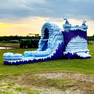 Wet Dry Outdoor Commercial Kids Jump Bouncing Castle Combo Inflatable Ice Palace Bounce House Water <b>Slide</b> 500KG Capacity 3-year - Product Image 1