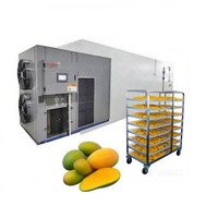 Hallo River Brand Hoge Kwaliteit Industriële Fruit & Groente Droogmachine Mango Droger Voedsel Dehydrator Apparatuur PLC CE