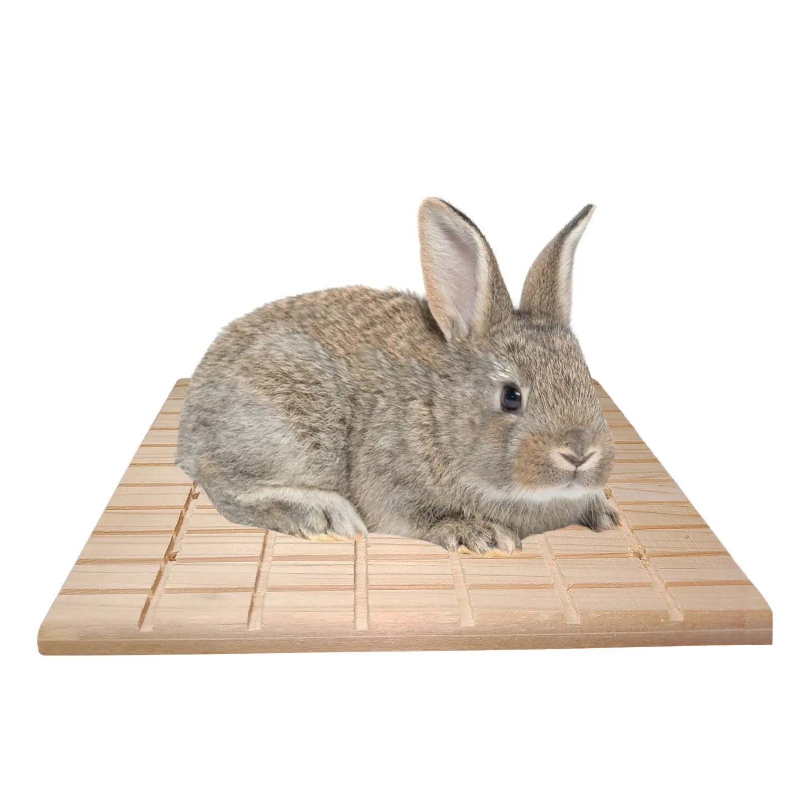 Lapin à gratter planche en bois jouets petit animal Cage tapis planche bois jouets jouet à mâcher lit pour cochon d'inde Chinchilla écureuil Hamste