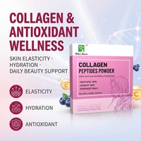 Poudre de Collagène Marin avec Myrtille et Vitamine C pour l'Éclat et l'Élasticité de la Peau OEM ODM Marque Privée