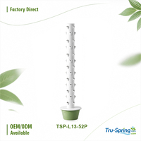 Système de culture hydroponique extensible Tru-Spring, 3 à 13 niveaux, agriculture verticale, jardin intérieur, commercial, sur mesure, vente en gros