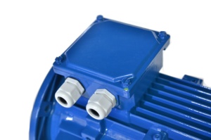 มอเตอร์เหนี่ยวนำ 3 เฟส IE3 7.5 กิโลวัตต์ 1500 รอบต่อนาที 10 แรงม้า - Product Image 6