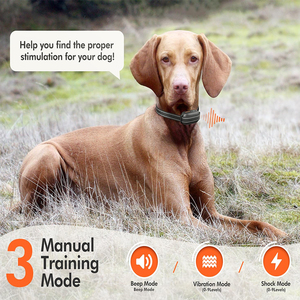 <span class=keywords><strong>Collar</strong></span> de Adiestramiento para Perros con Control Remoto, Resistente al Agua IP67, Recargable, Ajustable, con Control de Ladridos y Sonido Seguro - Product Image 4