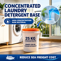 Détergent à lessive concentré écologique, ingrédients biodégradables, base de détergent liquide simple à faire soi-même pour B2B