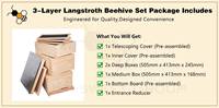 Trois niveaux 10 cadres ruches d'abeilles ruches en bois Langstroth