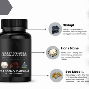 Cápsulas ervais do extrato do produto comestível do OEM Vendedor quente Pure Shilajit Lion Juba Ashwagandha Suplementos vitamínicos Bulk Drum Embalagem