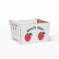 Boîte d'emballage pliable en carton ondulé pour fruits et baies, vente chaude directe usine