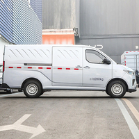 2024 dernier fourgon de transport électrique pur autonomie de 300km 0.5h charge rapide Wuling Yangguang EV 4 portes 2 places Mini fourgonnette