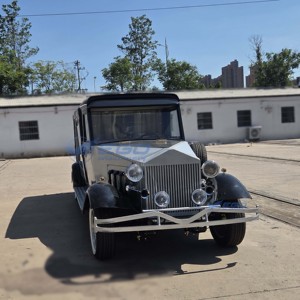 Nuevo Coche Fúnebre Eléctrico Retro de Baja Velocidad, Coche Fúnebre de Lujo Estilo Europeo - Product Image 6