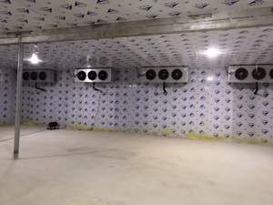 ตู้คอนเทนเนอร์แช่เย็นขนาด 40 ฟุต <span class=keywords><strong>มือ</strong></span>สอง แบบทาสี - Product Image 4