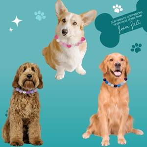 <span class=keywords><strong>Collar</strong></span> de Perro Ajustable de Silicona con Cuentas, Joyería Elegante, Personalizado, Impermeable, Bonito, Colorido, Femenino, <span class=keywords><strong>Collar</strong></span> de Perro Resistente - Product Image 5