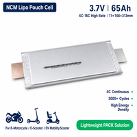 Baterai Sel Pouch Lithium Ion NMC 4C High Rate GBT 65 untuk Sepeda Listrik, E-Bike, Sepeda Motor, Golf Cart, Forklift, Drone