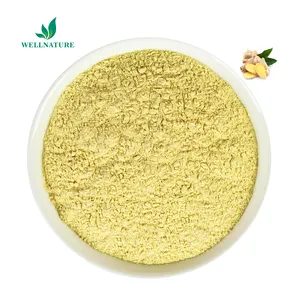Factory Wholesale Price Organic Dehydrates Ginger Extract Powder / Ginger Masala For Food & Beverag