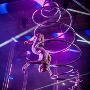 Cerchio Aereo Lyra per Acrobazie, Circo e Fitness Aereo - Product Image 4