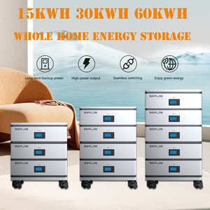 Double Powerwall LG 30 kWh, 300 Ah, Sodium <span class=keywords><strong>Enphase</strong></span> Solutions, Boîtier Powerwall domestique 20 kWh, <span class=keywords><strong>Batterie</strong></span> de secours thermique 20 kWh pour système solaire - Product Image 6