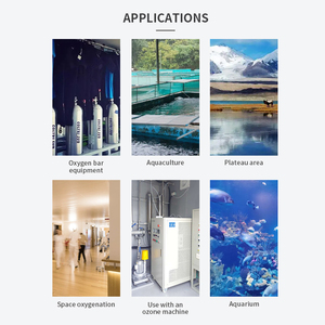 PSA tập trung độ tinh khiết 93% y tế oxy giá Máy phát điện chuanghuan tích hợp 3L <span class=keywords><strong>5L</strong></span> 10L oxy Máy phát điện - Product Image 6