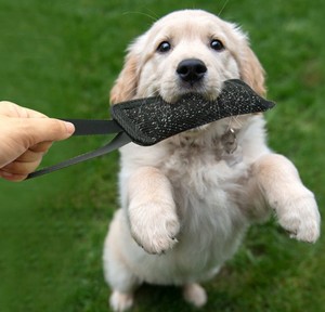 Hundetraining Zubehör: Jute K9 Trainings-Dummy, Beißwurst und Zerrspielzeug für Hunde - Product Image 6