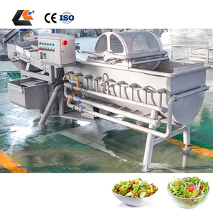 Laveuse de légumes à feuilles à prix d'usine, machine à laver les légumes, laveuse de salades à l'ozone, machine à laver le gingembre - Product Image 6