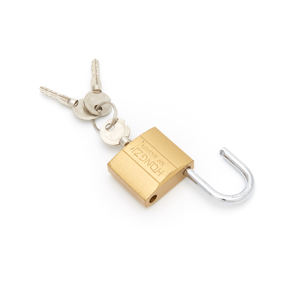 Cadenas en fer sur mesure, style vintage, à clé croisée, vente chaude usine, cadenas pour porte, cadenas vintage à clé croisée - Product Image 5