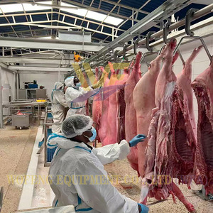 Автоматическое оборудование для свиноферм: комплексная линия убоя свиней, конвейерная линия переработки свинины, оборудование для мясокомбинатов - Product Image 5