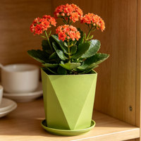 Pots à fleurs carrés en PP de luxe avec trou de drainage, durables, style américain minimaliste pour la maison et le jardin, options colorées, capacité de 1,6 L