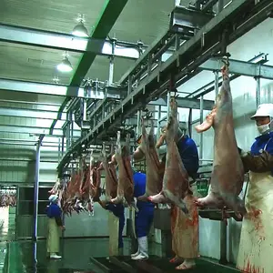 Kuzu kesim ev et süreci Butchery konveyör için lal koyun Abattoir ekipmanları