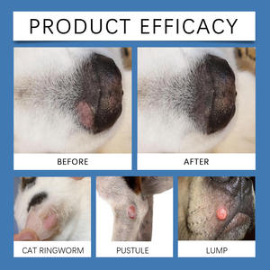 PET ODM OEM Spray Soins des plaies pour animaux de compagnie Soulagement des points chauds et des démangeaisons de la peau Pommade de guérison recommandée Soins des plaies pour chiens et chats - Product Image 6